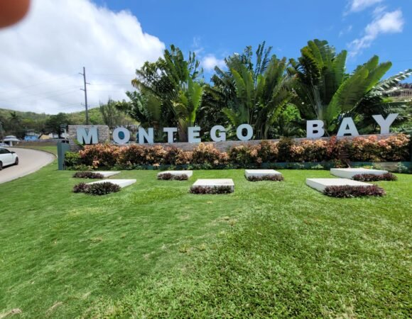 Dobbs Tours in Jamaica